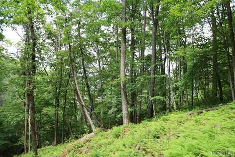 Lot DD Pleasant Hill Road, Cashiers, NC 28717