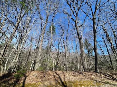 Lot 59 Narrows Road, Sapphire, NC 28774