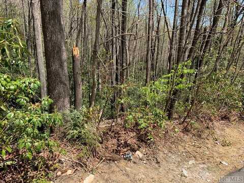 Lot 31 Beech Court, Sapphire, NC 28774