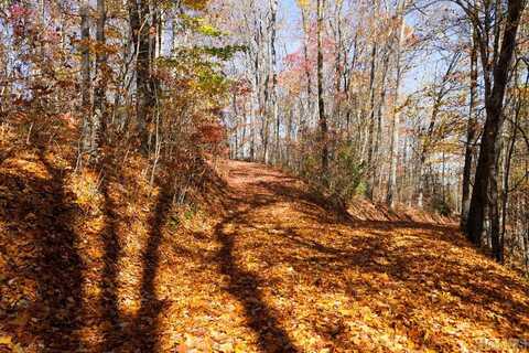Na High Point View Road, Scaly Mountain, NC 28775