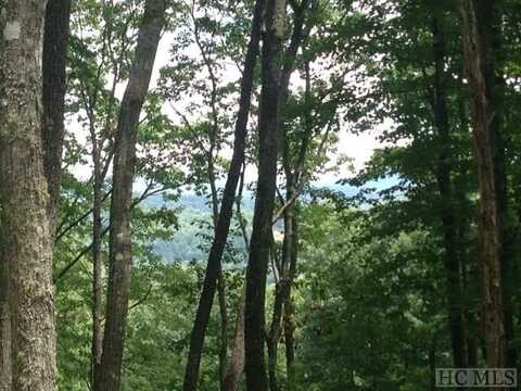 193 Shortoff Shadow Trail, Highlands, NC 28741