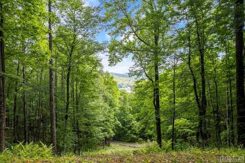 12A Von Trapp, Tuckasegee, NC 28783