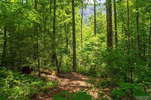 Lot 176 Lonesome Valley Rd, Sapphire, NC 28774