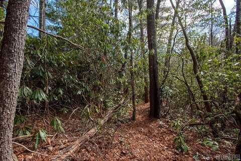 Lot 108R Rockhouse Falls Lane, Sapphire, NC 28774