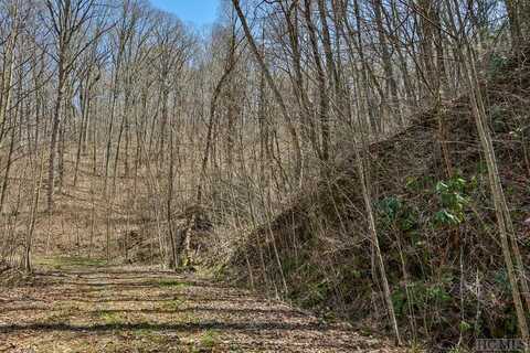 TBD Bearwood Drive, Cullowhee, NC 28723