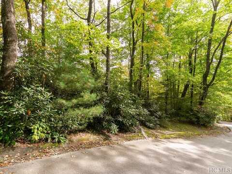 000 Trillium Court, Sapphire, NC 28774