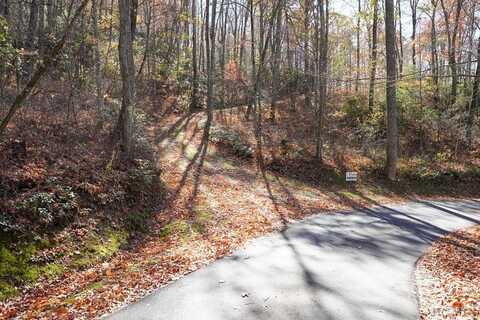 None Silly Ridge Road, Scaly Mountain, NC 28775