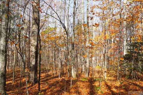 Na Silly Ridge Road, Scaly Mountain, NC 28775