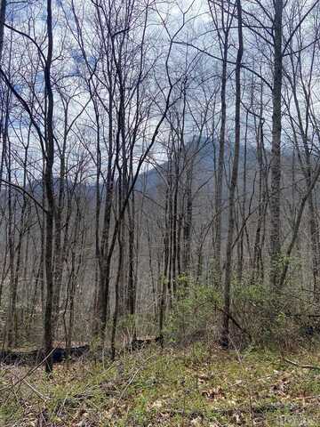 8B/9 Lowland Glade Dr, Tuckasegee, NC 28783