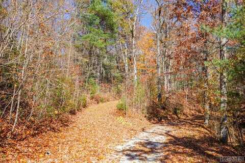 00 Silly Ridge Road, Scaly Mountain, NC 28775