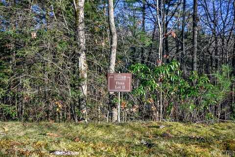 Lot 11 Trillium Ridge Road, Cullowhee, NC 28723