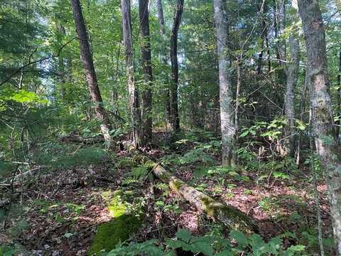 Lot 17 Whitewater Ridge Road, Sapphire, NC 28774