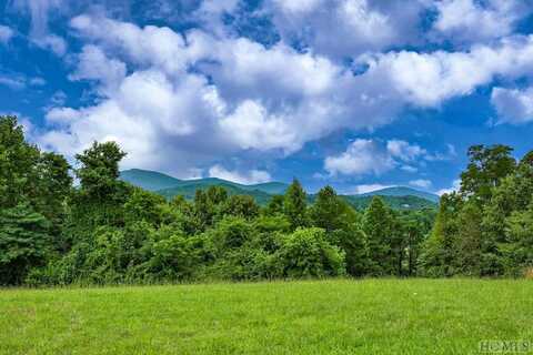 TBD Hale Ridge Road, Scaly Mountain, NC 28775