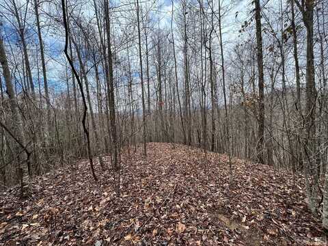 Lot 84 Ridgemont Drive, Glenville, NC 28736