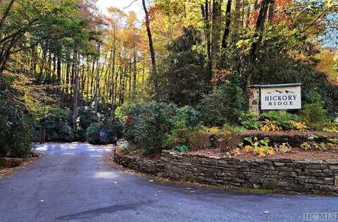 Lot 4 Tall Hickory Ridge, Cashiers, NC 28717