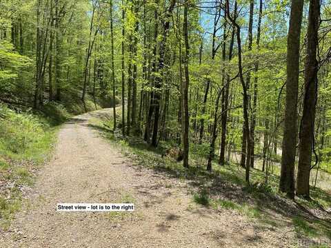 Lot 44 Blaine Branch Drive, Franklin, NC 28734