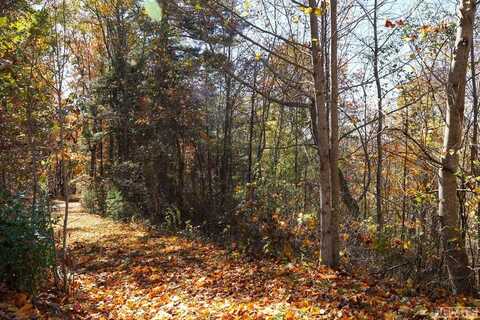 Unknown Silly Ridge Road, Scaly Mountain, NC 28775