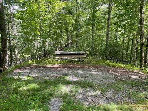 Lot 34 Rainbow Trout, Tuckasegee, NC 28783