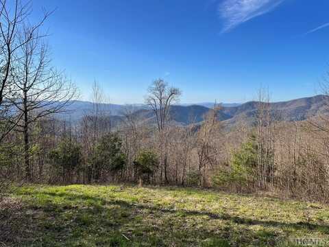 99999 Buck Knob Road, Scaly Mountain, NC 28775