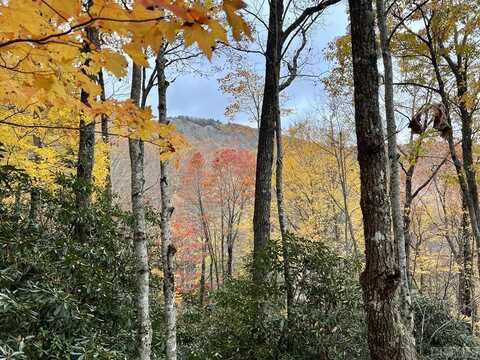 D-17 Cherokee Trace, Cashiers, NC 28717