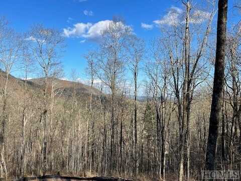 Lot 2 Frond Court, Sapphire, NC 28774