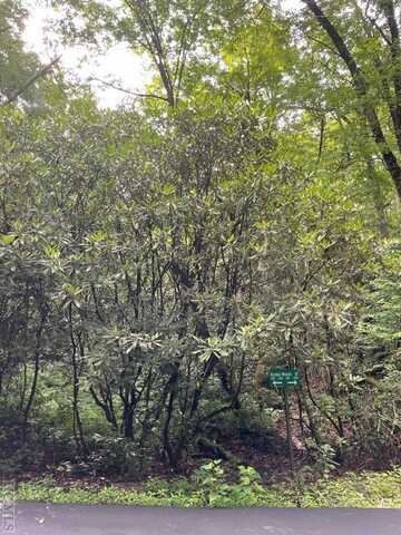 N/A Azalea Woods Drive, Highlands, NC 28741