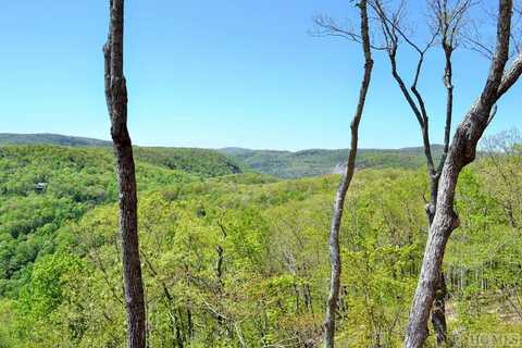 Lot 46 Continental Drive, Sapphire, NC 28774