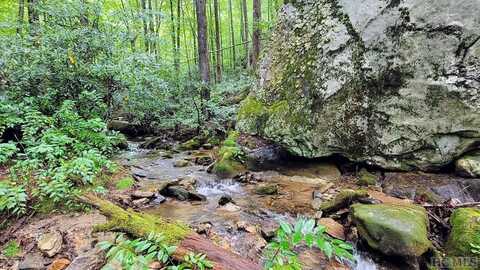 Multi Spike Moss Road, Sapphire, NC 28774