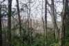 Tbd Summit Trail, Highlands, NC 28741
