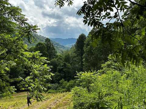 L 15 Trout Creek Road, Tuckasegee, NC 28783