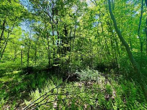 LOT 43 Paradise Point, James Creek, PA 16657