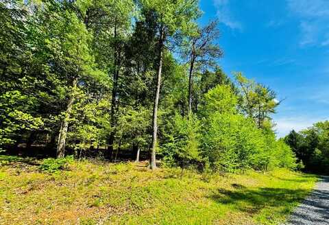 LOT 11 Paradise Point, James Creek, PA 16657