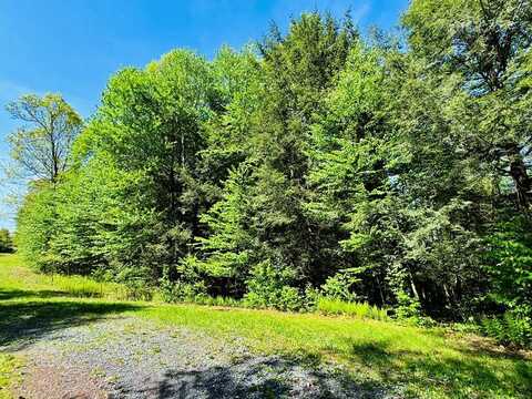 LOT 10 Paradise Point, James Creek, PA 16657