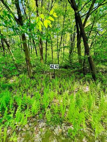 LOT 42 Paradise Point, James Creek, PA 16657