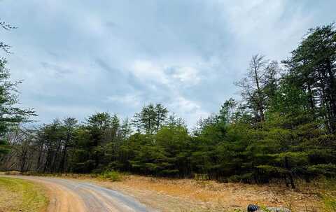 LOT 56 Paradise Point, James Creek, PA 16657