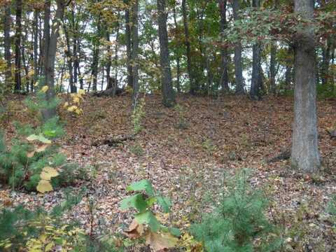 Lot 22 Raystown Reach, Huntingdon, PA 16652