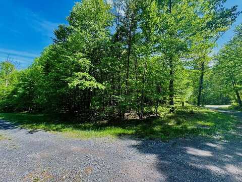 LOT 46 Paradise Point, James Creek, PA 16657