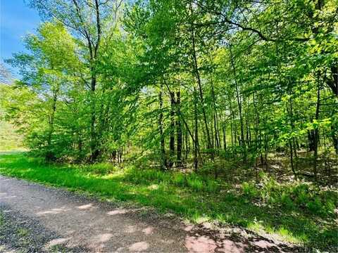 LOT 15 Paradise Point, James Creek, PA 16657