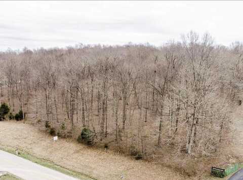 Lot 1 CLARK STORE SINKING FORK ROAD, HOPKINSVILLE, KY 42240