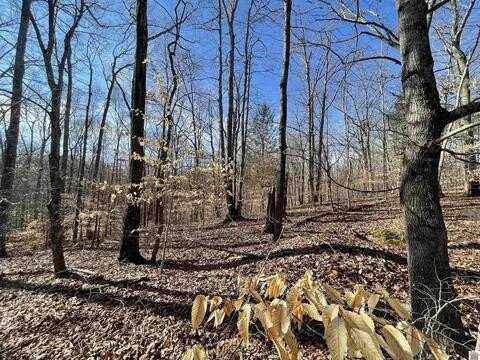 Lot 79 Woodfield Estates Dr, CADIZ, KY 42211