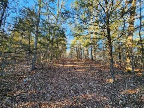 Lot 8 AR-333, Saint Joe, AR 72675