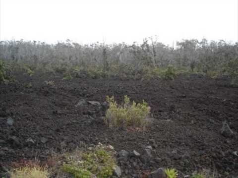 Iwalani Parkway, OCEAN VIEW, HI 96737