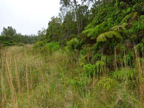 HEKAU ST, NAALEHU, HI 96772