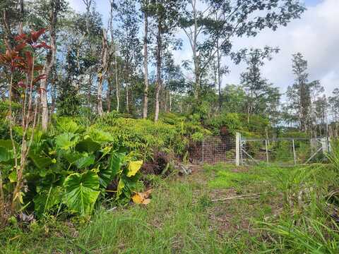 NANAWALE FARMS RD, PAHOA, HI 96778