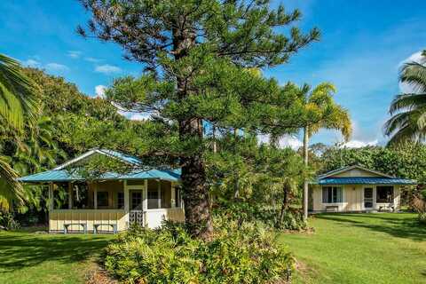 13-119 NALU PL, PAHOA, HI 96778