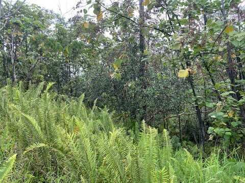 POHAKUPELE LOOP, PAHOA, HI 96778