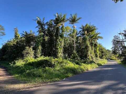 DRIFTWOOD LN, PAHOA, HI 96778