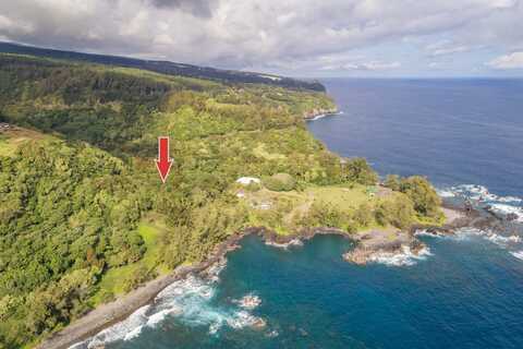 36-1070 LAUPAHOEHOE POINT RD, LAUPAHOEHOE, HI 96764