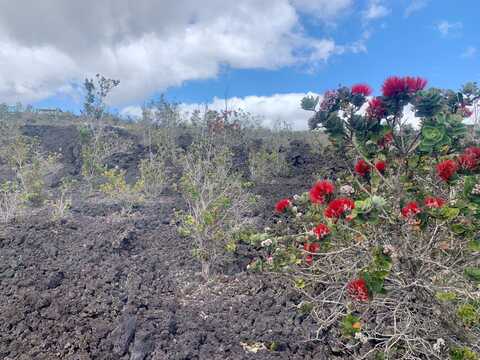 LEHUA LN, OCEAN VIEW, HI 96737