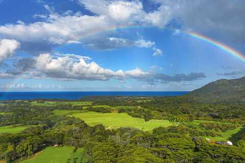 KAPUNA RD, KILAUEA, HI 96754